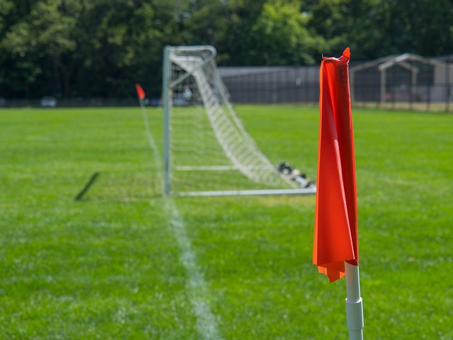 的技术人才 的技术人才