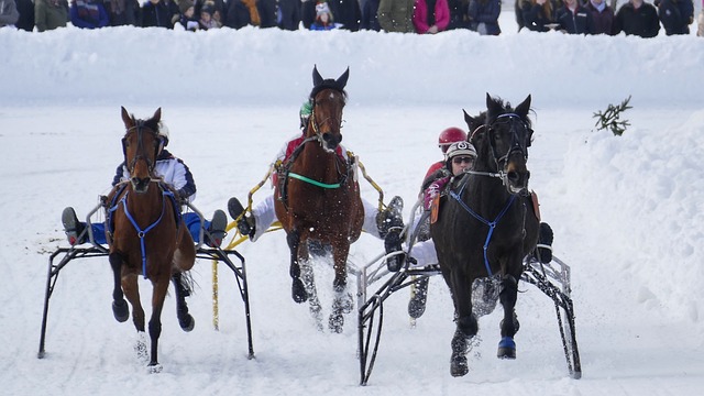 终是球队成 终是球队成