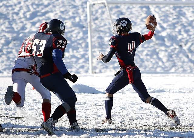 山东泰山队 山东泰山队