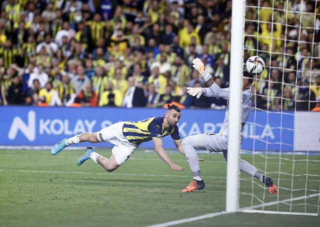 他们选择 他们选择