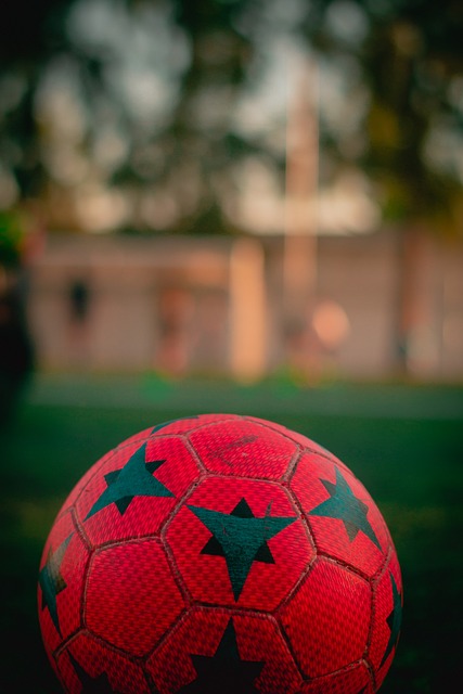 的转会不仅 的转会不仅