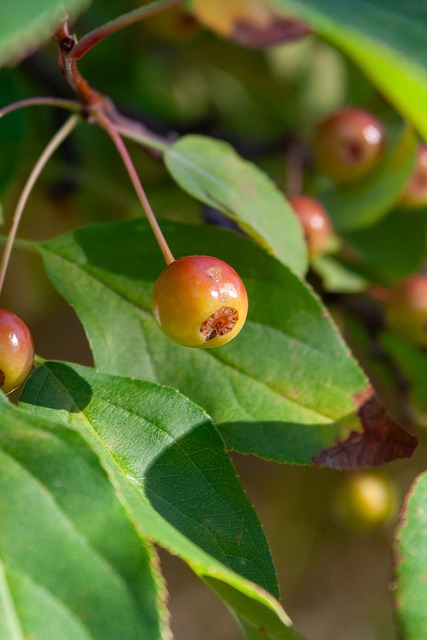 展的重视 展的重视