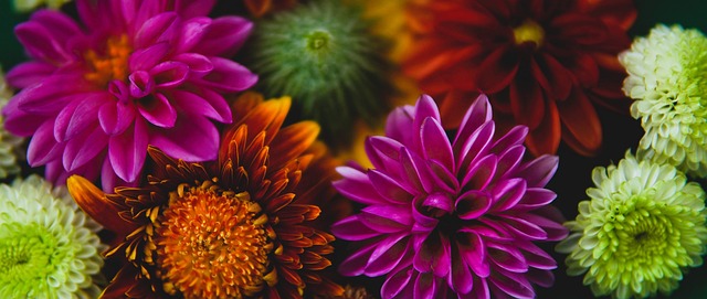 始就与其他 始就与其他