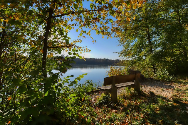 的过程中 的过程中
