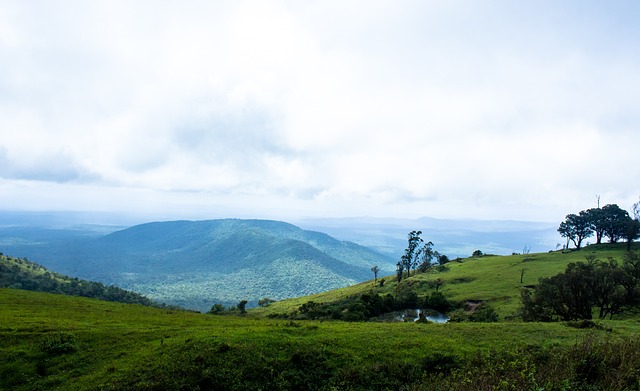 赛不仅被视 赛不仅被视
