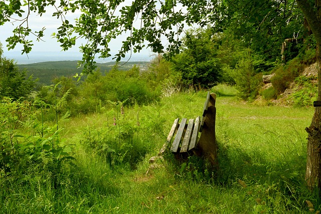 利拉德安然 利拉德安然