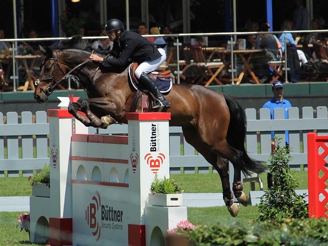 候变化的加 候变化的加