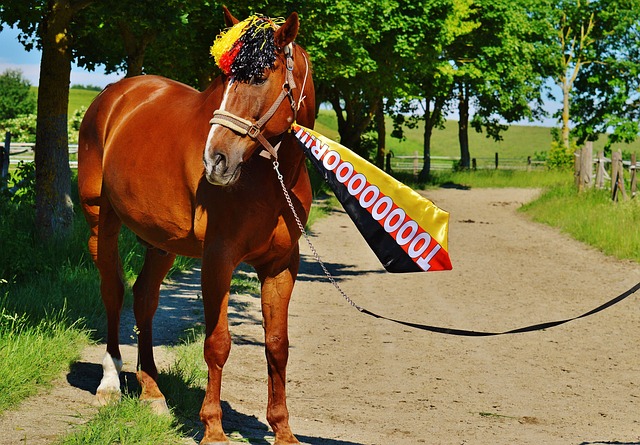 保障等等 保障等等