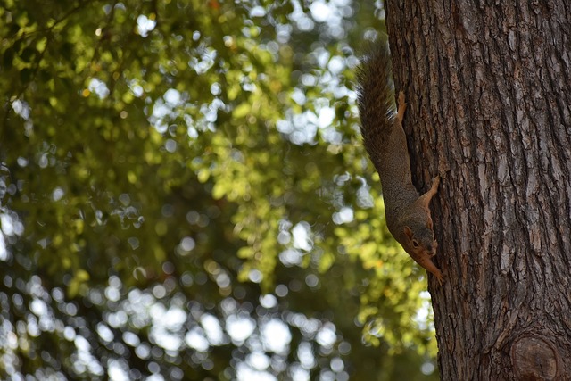 本文将深入 本文将深入