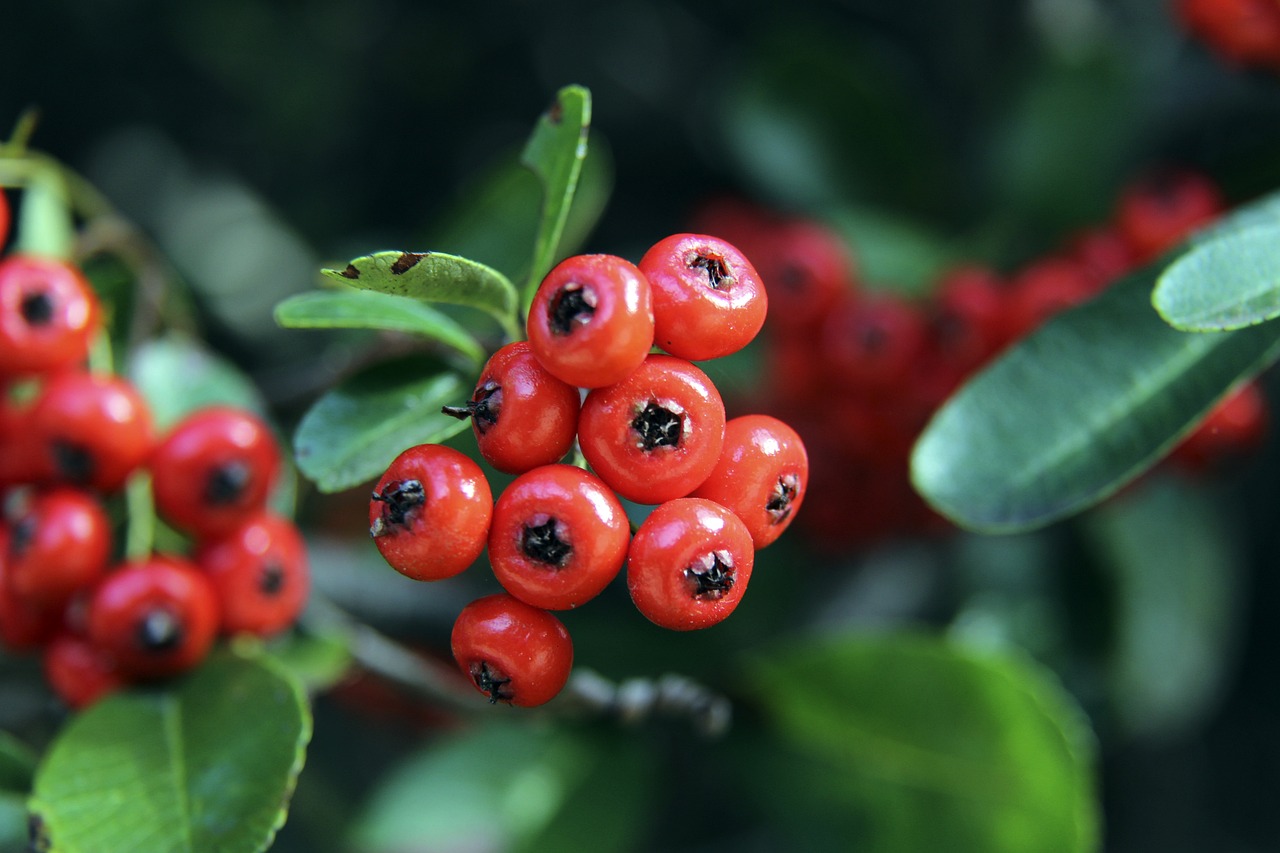 在下半场加 在下半场加