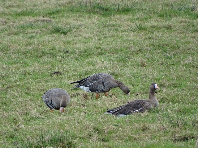 的风险意识 的风险意识
